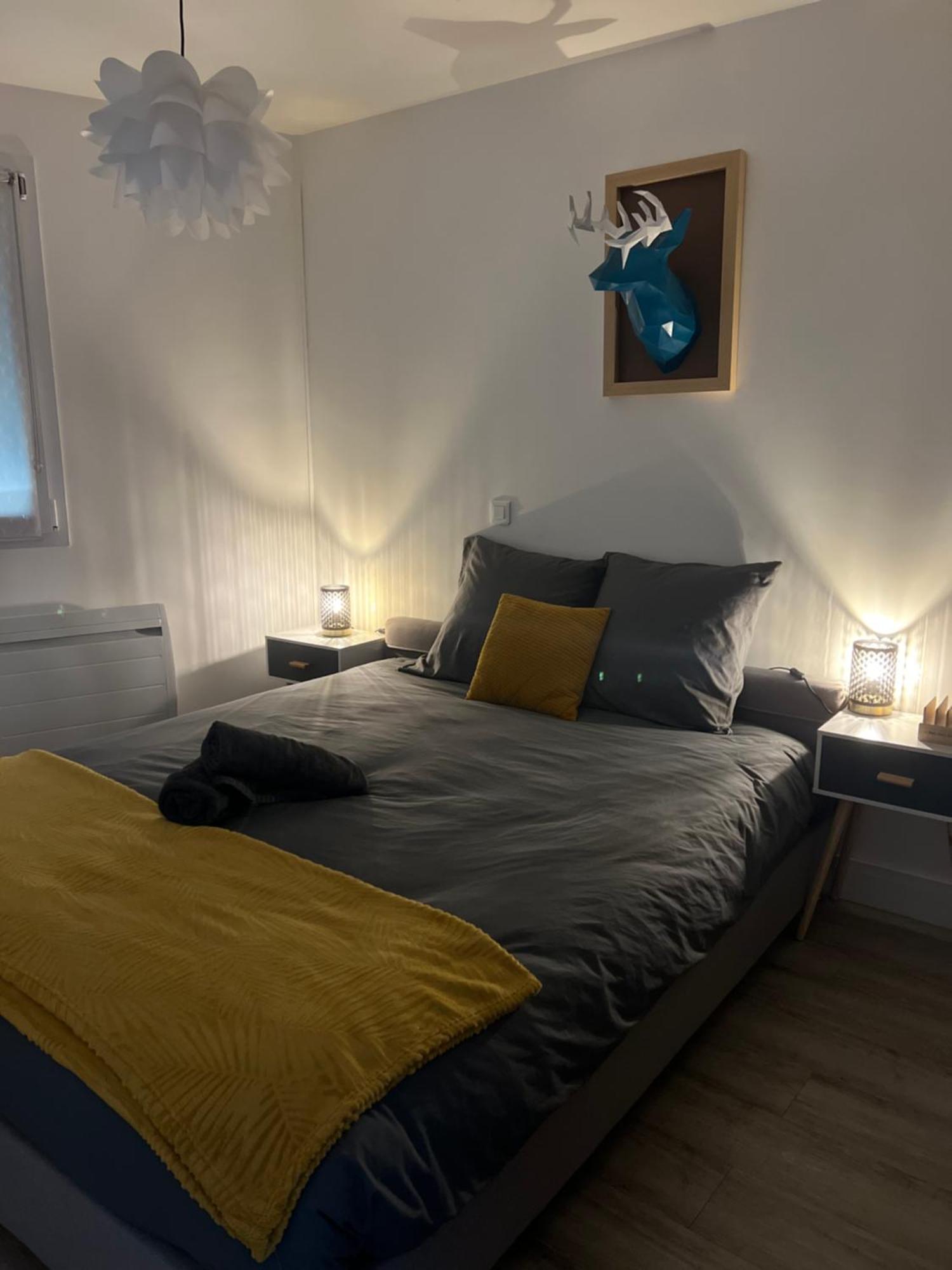 Appartement Cosy Face A La Basilique Saint Remi 兰斯 外观 照片